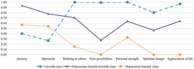 Depression, Anxiety and Post-traumatic Growth Among Bereaved Adults: A Latent Class Analysis